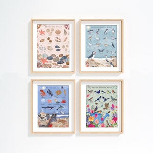 May include: Four framed prints with illustrations of British wildlife. The top left print features seashells with the title "British Sea Shells". The top right print features coastal birds with the title "British Coastal Birds". The bottom left print features sea life with the title "British Sea Life". The bottom right print features garden birds with the title "British Garden Birds".