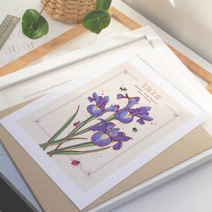 Iris Wall Art Print, Flower Meaning Illustration Print image 2