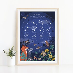 Op de afbeelding: Een blauwe en witte ge&iuml;llustreerde poster met de titel "Diertekring Constellaties & Nachtelijke Dieren". De poster toont de sterrenbeelden van de dierenriem met hun data en namen, samen met verschillende nachtelijke dieren zoals uilen, vleermuizen, vossen en egels.
