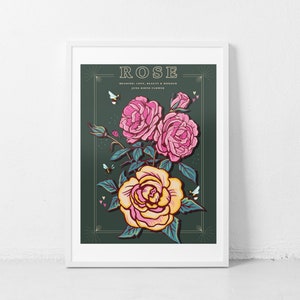Wall art print of line drawn rose flowers in pink and yellow