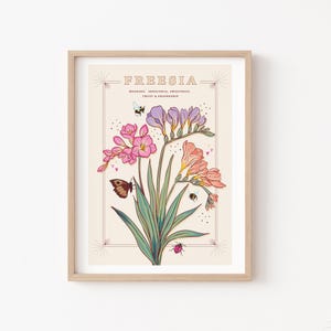 Stampa artistica da parete con fresia, stampa illustrativa del significato del fiore