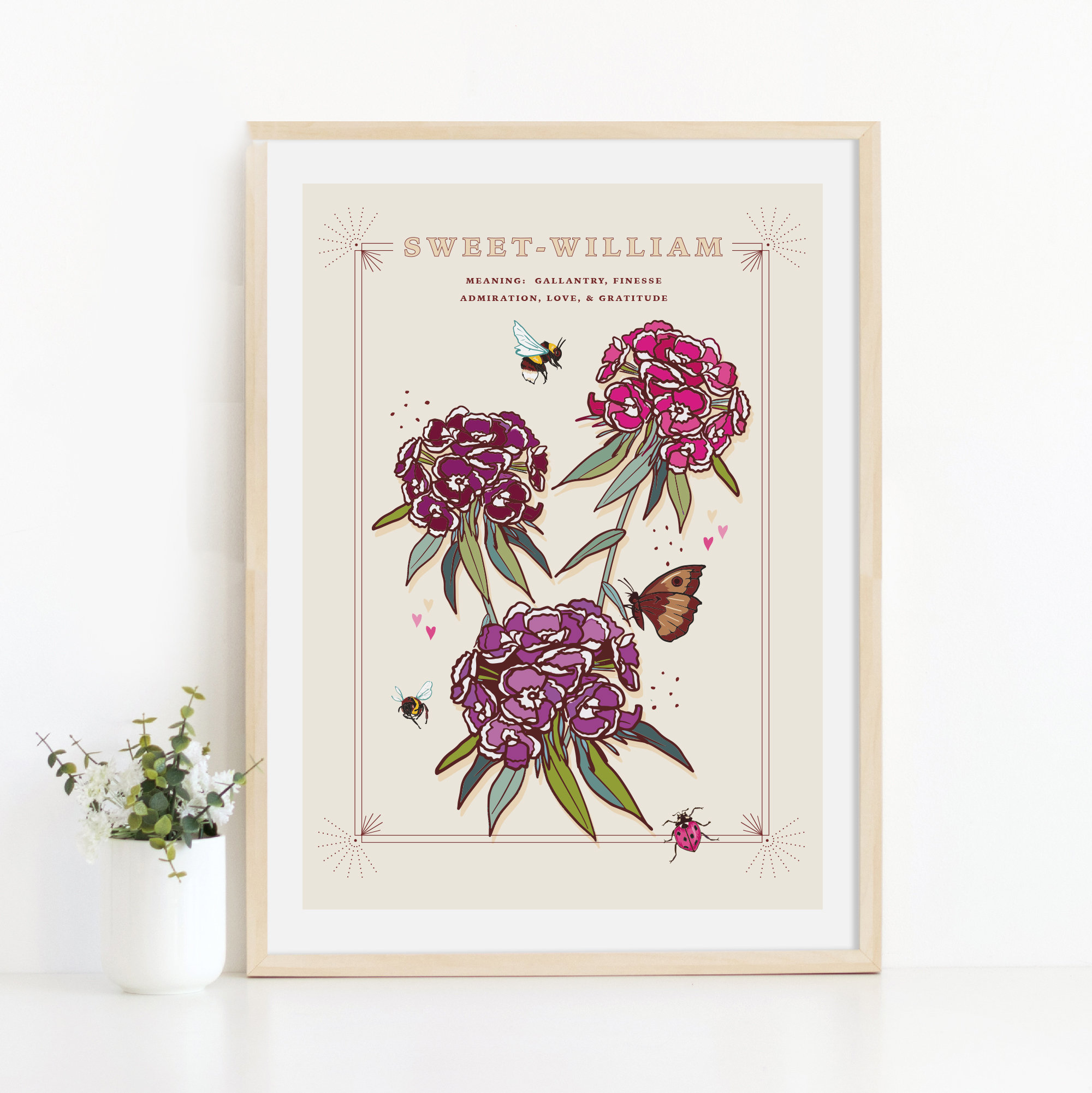Sweet William Wall Art Print, Flower Meaning Illustration Print - Etsy