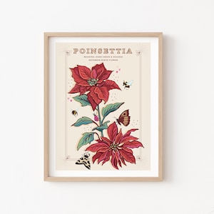 Poinsettia Wall Art Print, December Flower Illustration Print