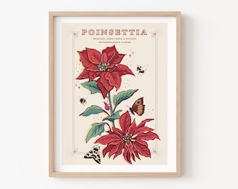 Weihnachtsstern Wand Kunst Druck, Dezember Blume Illustration Druck - Etsy  sterreich
