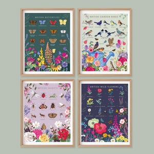 Set van 4 Britse natuurgids natuurprints, insecten, vogels, vlinders en wilde bloemen muurkunstset