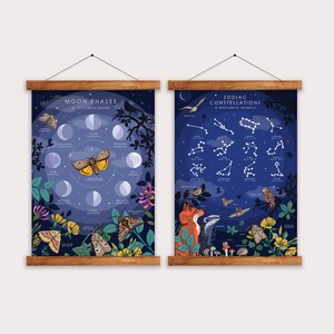 Op de afbeelding: Twee ge&iuml;llustreerde posters met een donkerblauwe achtergrond. De linker poster toont de maanfasen met nachtvlinders. De rechter poster toont de sterrenbeelden van de dierenriem met nachtelijke dieren. Beide posters hebben een houten frame.