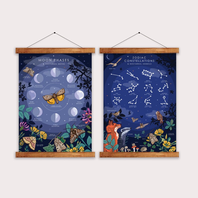 Op de afbeelding: Twee ge&iuml;llustreerde posters met een donkerblauwe achtergrond. De linker poster toont de maanfasen met nachtvlinders. De rechter poster toont de sterrenbeelden van de dierenriem met nachtelijke dieren. Beide posters hebben een houten frame.