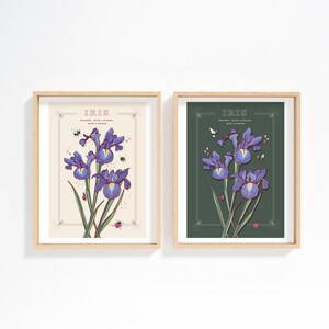 Wall art print of line drawn iris flowers in blue and purple