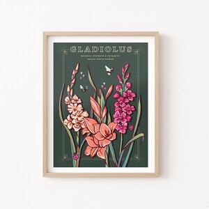 Wall art print of line drawn Gladiolus flowers in orange and pink. August birth flower