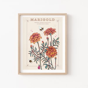 Marigold Wall Art Print, October Birth Flower Illustration Print