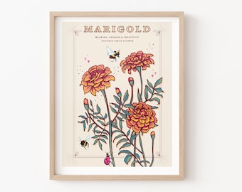 Marigold Wall Art Print, October Birth Flower Illustration Print