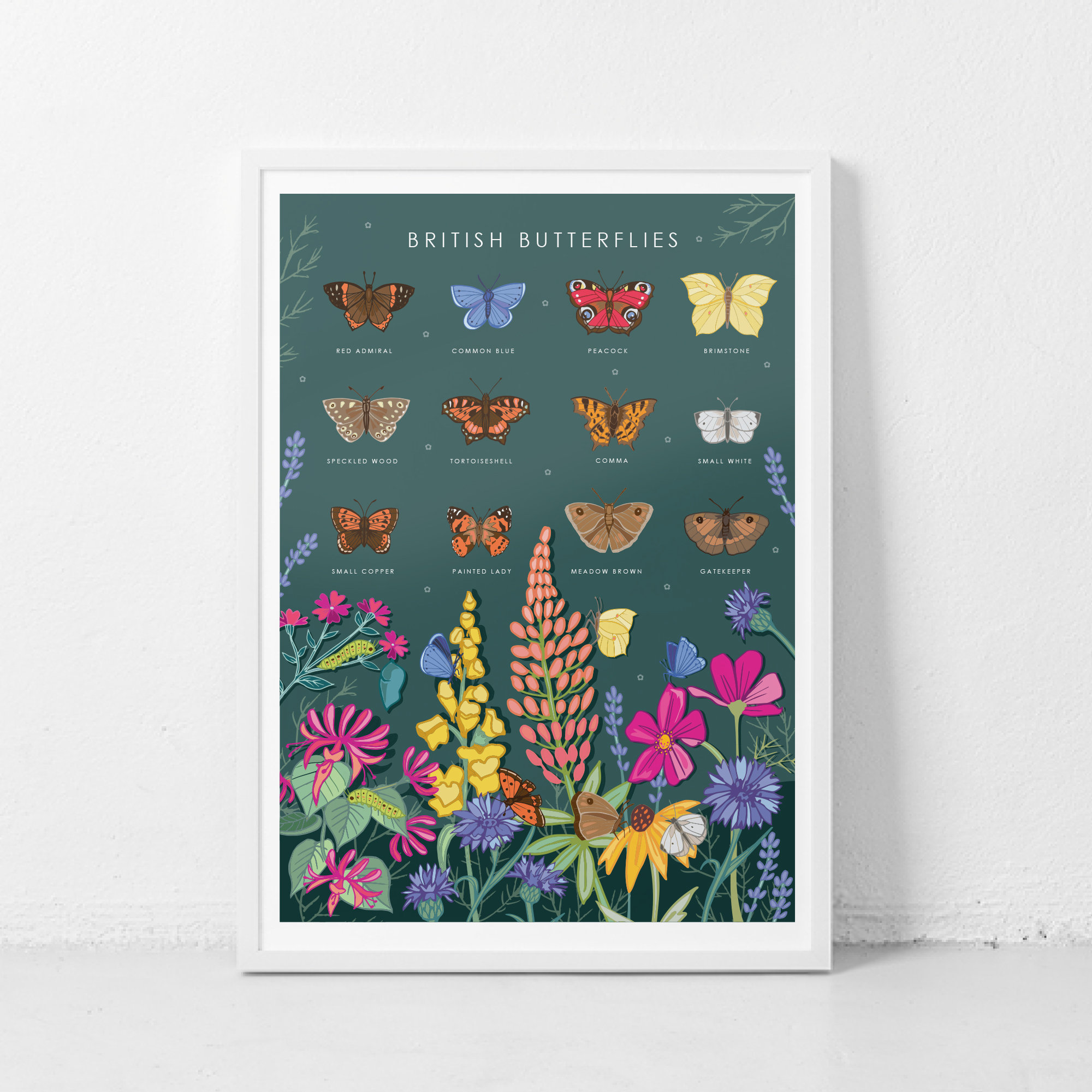 Butterflies Wall Art Print Nature Poster of British | Etsy