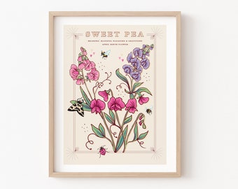 Sweet Pea Wall Art Print, April Birth Flower Illustration Print
