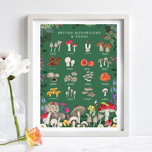 Cartel de setas y hongos, arte botánico de la pared, impresión de guía de la naturaleza, cartel de observadores de vida silvestre imagen 4
