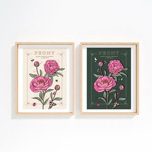 Peony Wall Art Print, Flower Meaning Illustration Print image 4