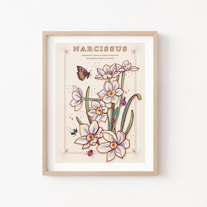 Stampa artistica da parete Narciso, illustrazione del fiore di nascita di dicembre