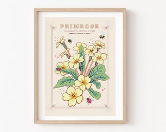 Primrose Wall Art Print, February Birth Flower Illustration Print