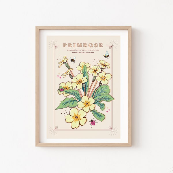 Primrose Wall Art Print, February Birth Flower Illustration Print