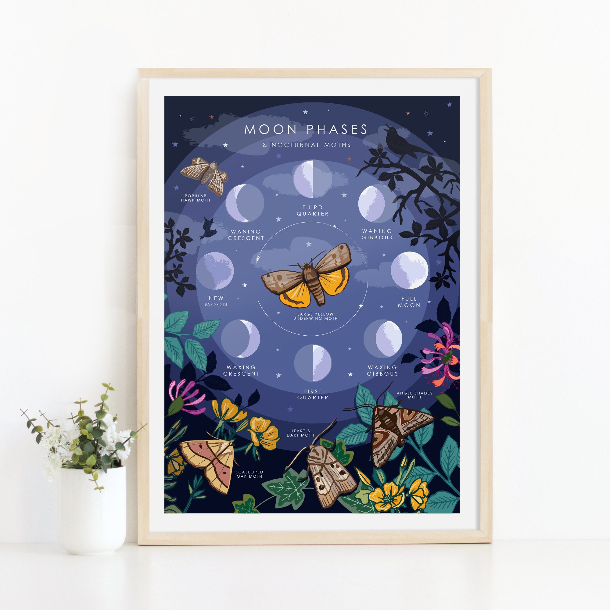 Moon Phases Print Nocturnal Moths and Lunar Phases Guide Wall - Etsy