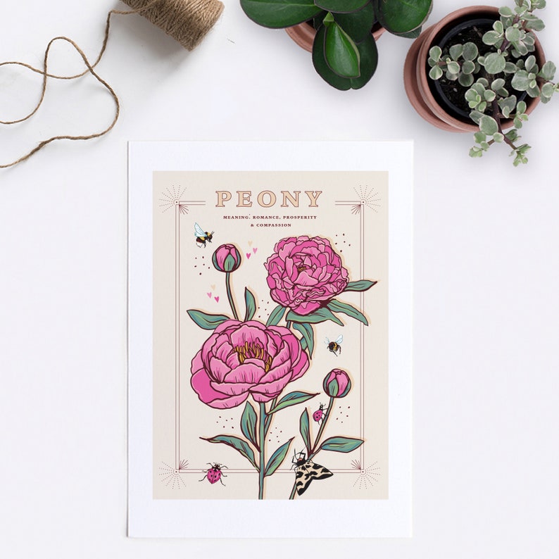 Peony Wall Art Print, Flower Meaning Illustration Print image 6