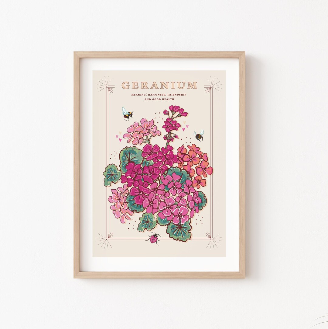 Geranium Wall Art Print, Flower Meaning Illustration Print Etsy