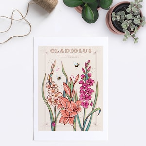 Wall art print of line drawn Gladiolus flowers in orange and pink. August birth flower