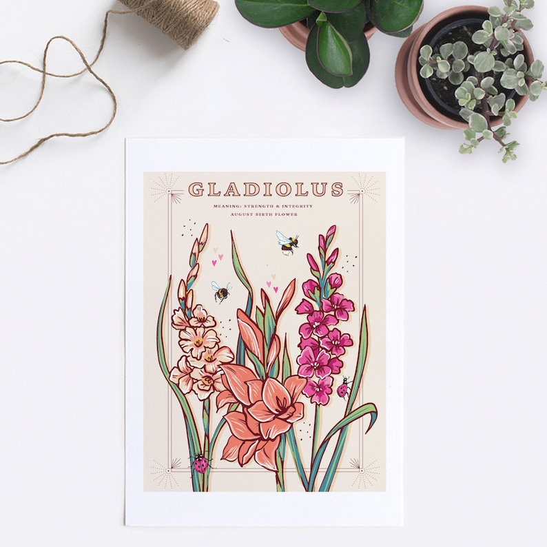 Wall art print of line drawn Gladiolus flowers in orange and pink. August birth flower