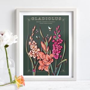 Wall art print of line drawn Gladiolus flowers in orange and pink. August birth flower