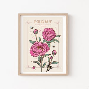 Peony Wall Art Print, Flower Meaning Illustration Print A4 Cream Background