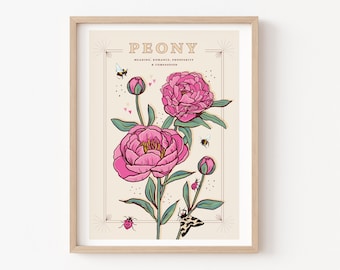 Peony Wall Art Print, Flower Meaning Illustration Print