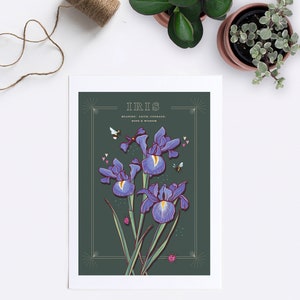 Wall art print of line drawn iris flowers in blue and purple