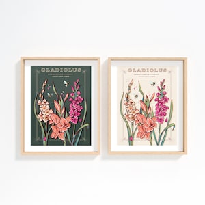 Wall art print of line drawn Gladiolus flowers in orange and pink. August birth flower
