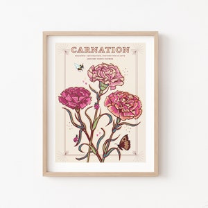 Stampa artistica da parete "Garofani", stampa illustrativa del fiore di nascita di gennaio