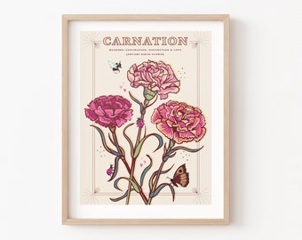 Carnations Wall Art Print, January Birth Flower Illustration Print