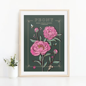 Peony Wall Art Print, Flower Meaning Illustration Print image 9