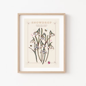 Stampa artistica da parete con bucaneve, illustrazione del significato del fiore di nascita di gennaio