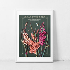 Wall art print of line drawn Gladiolus flowers in orange and pink. August birth flower
