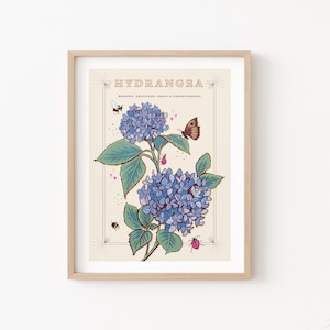 Stampa artistica da parete con ortensia, illustrazione floreale di grazia e gratitudine