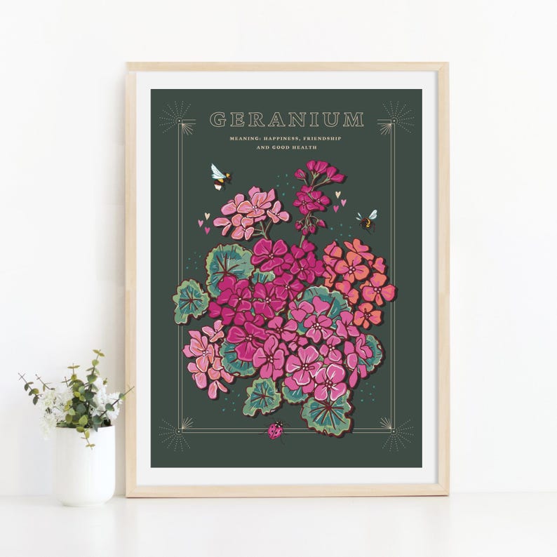 Geranium Wall Art Print, Flower Meaning Illustration Print Etsy