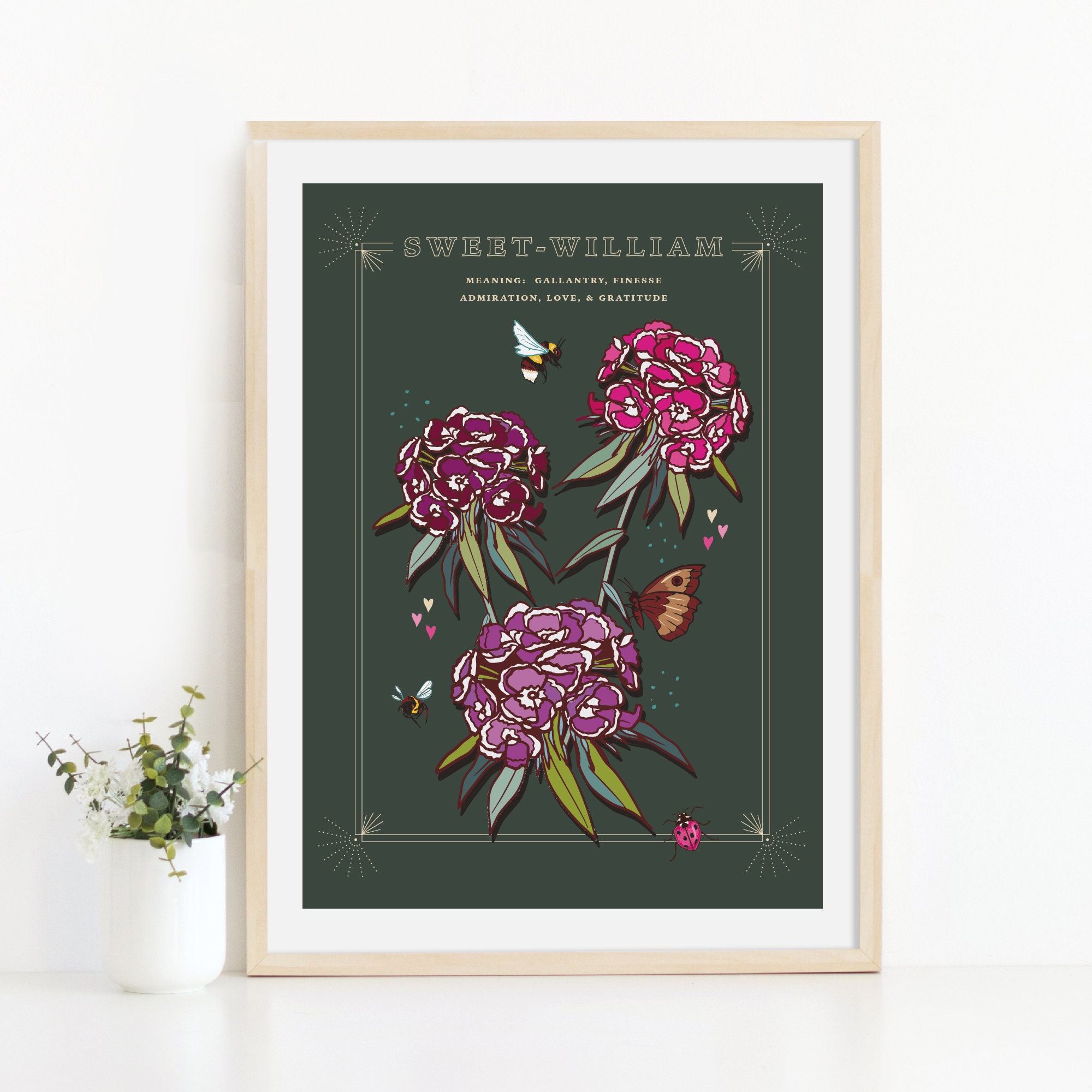 Sweet William Wall Art Print, Flower Meaning Illustration Print - Etsy