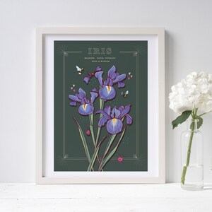 Wall art print of line drawn iris flowers in blue and purple