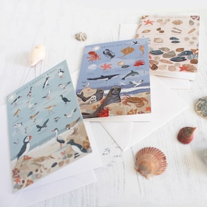 Set van 3 kaarten met Britse natuurgidsen, kustkaartenpakket met vogels, zeedieren en schelpen