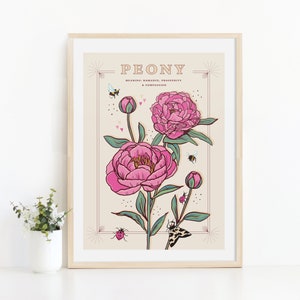 Peony Wall Art Print, Flower Meaning Illustration Print image 8