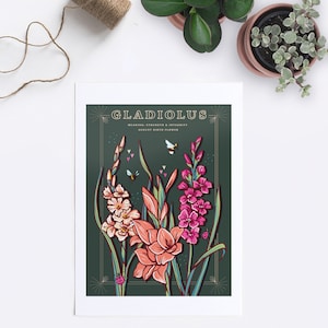 Wall art print of line drawn Gladiolus flowers in orange and pink. August birth flower