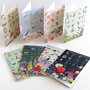 Pack of 8 British Nature Guide Greetings Cards, Wildlife, Nature and Coastal Note Cards Set