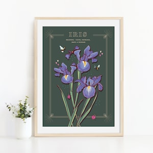 Wall art print of line drawn iris flowers in blue and purple
