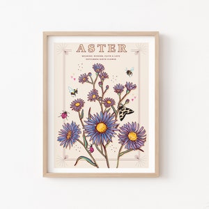 Aster Wall Art Print, September Birth Flower Illustration Print