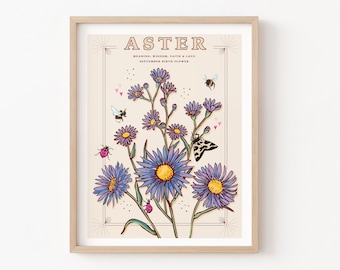 Aster Wall Art Print, September Birth Flower Illustration Print