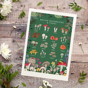 Cartel de setas y hongos, arte botánico de la pared, impresión de guía de la naturaleza, cartel de observadores de vida silvestre imagen 3