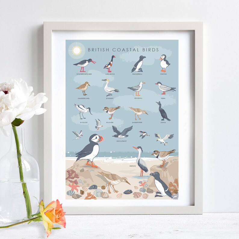Coastal Birds Wall Art Print Nature Poster of British Coastal Etsy UK